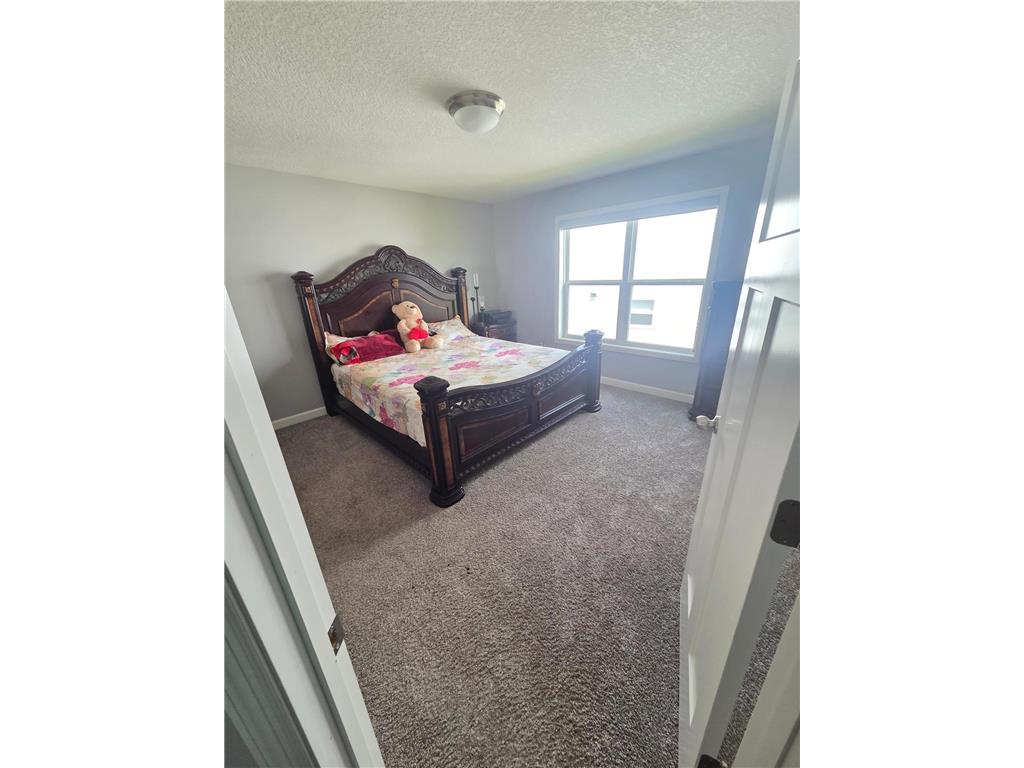 12839 Fraizer Street NE Blaine MN 55449 7084474 image23