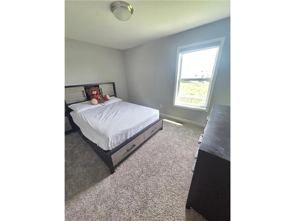 12839 Fraizer Street NE Blaine MN 55449 7084474 image24
