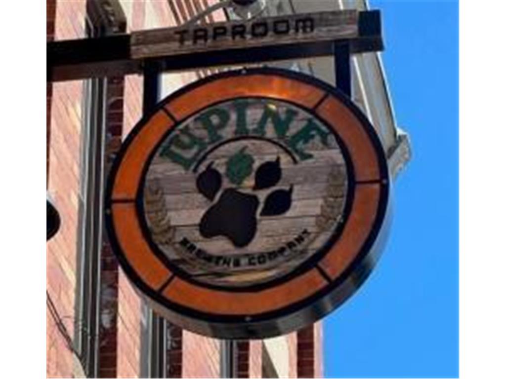 12842 Lawrence Way Rogers MN 55374 6820380 image20