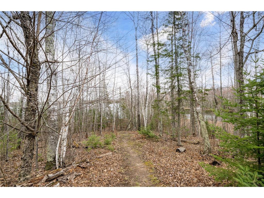 12846 Wichingen Road Hibbing MN 55746 - Island Lake 7064298 image34