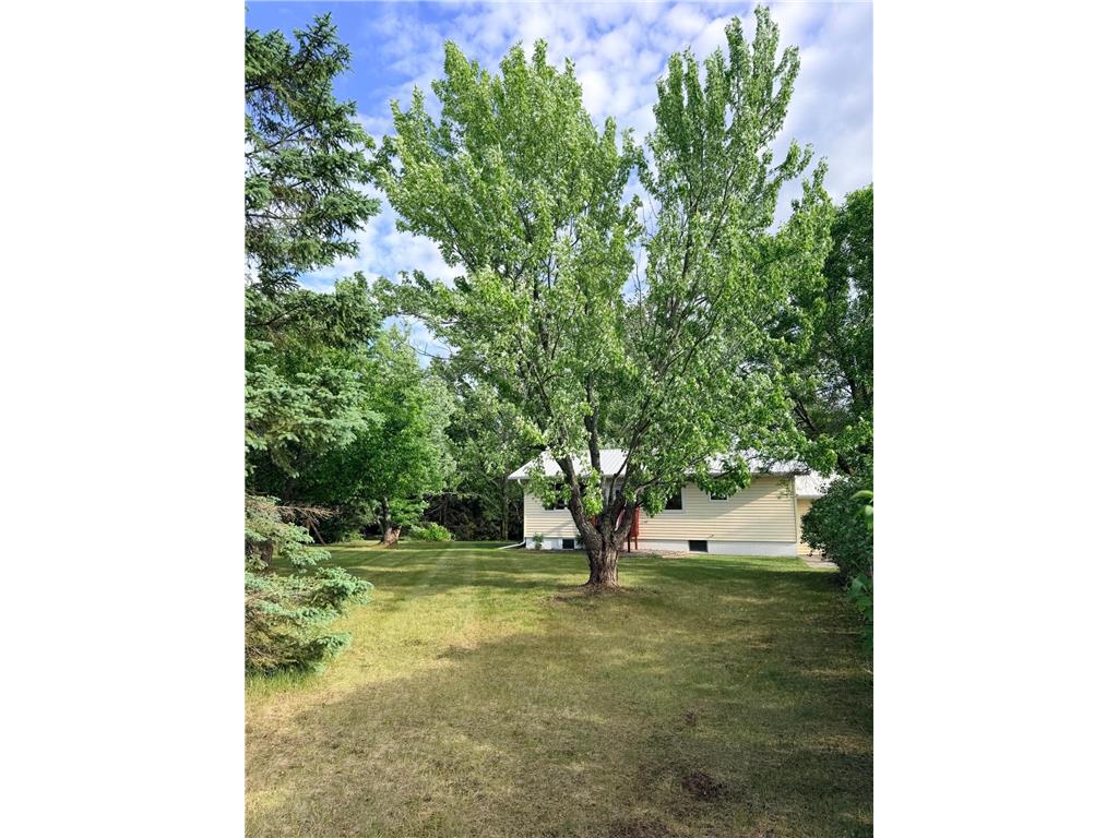 12851 Everlasting Drive Park Rapids MN 56470 7087089 image42