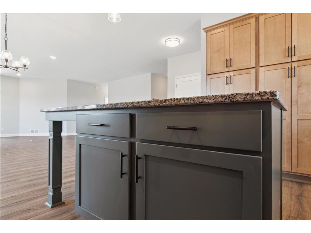 1287 Ardara Ridge Road Rosemount MN 55068 6811100 image11