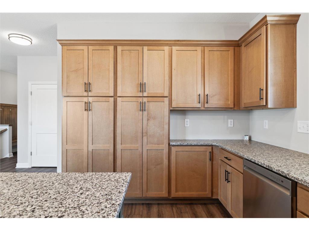 1287 Ardara Ridge Road Rosemount MN 55068 6811100 image15