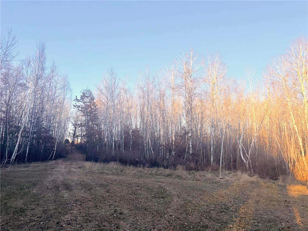 1287 Trinity Pines Lane NW Powers Twp MN 56435 6821597 image3