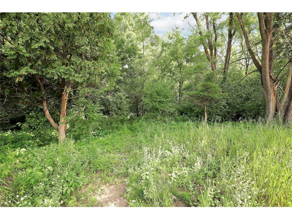 1289 Northdale Boulevard NW Coon Rapids MN 55448 7092689 image33