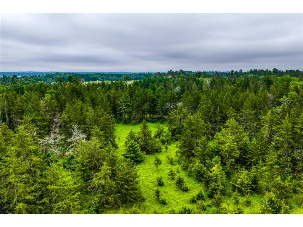 12891 Bemidji Road NE Port Hope Twp MN 56601 7100934 image50