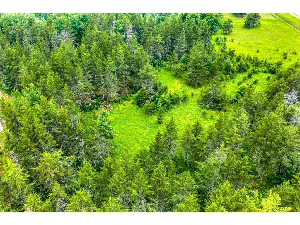 12891 Bemidji Road NE Port Hope Twp MN 56601 7100934 image52