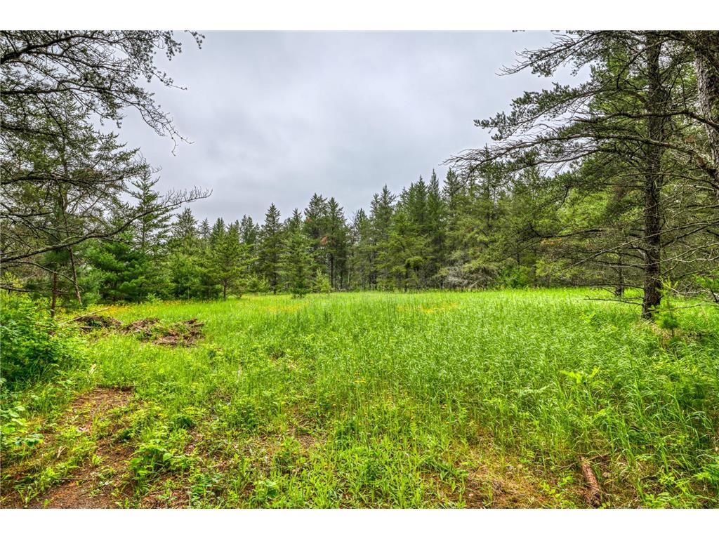 12891 Bemidji Road NE Port Hope Twp MN 56601 7100934 image71