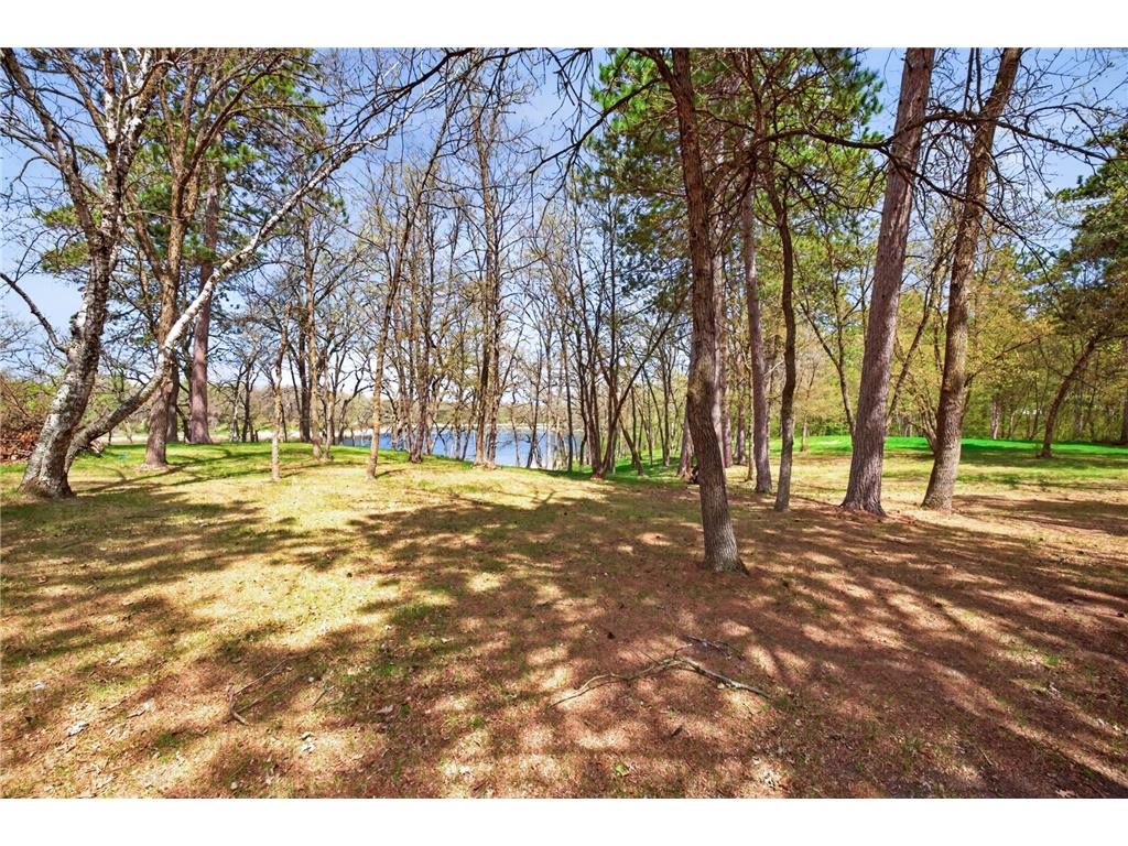 12905 Buckhorn Trail Menahga MN 56464 - Moran 7079600 image17
