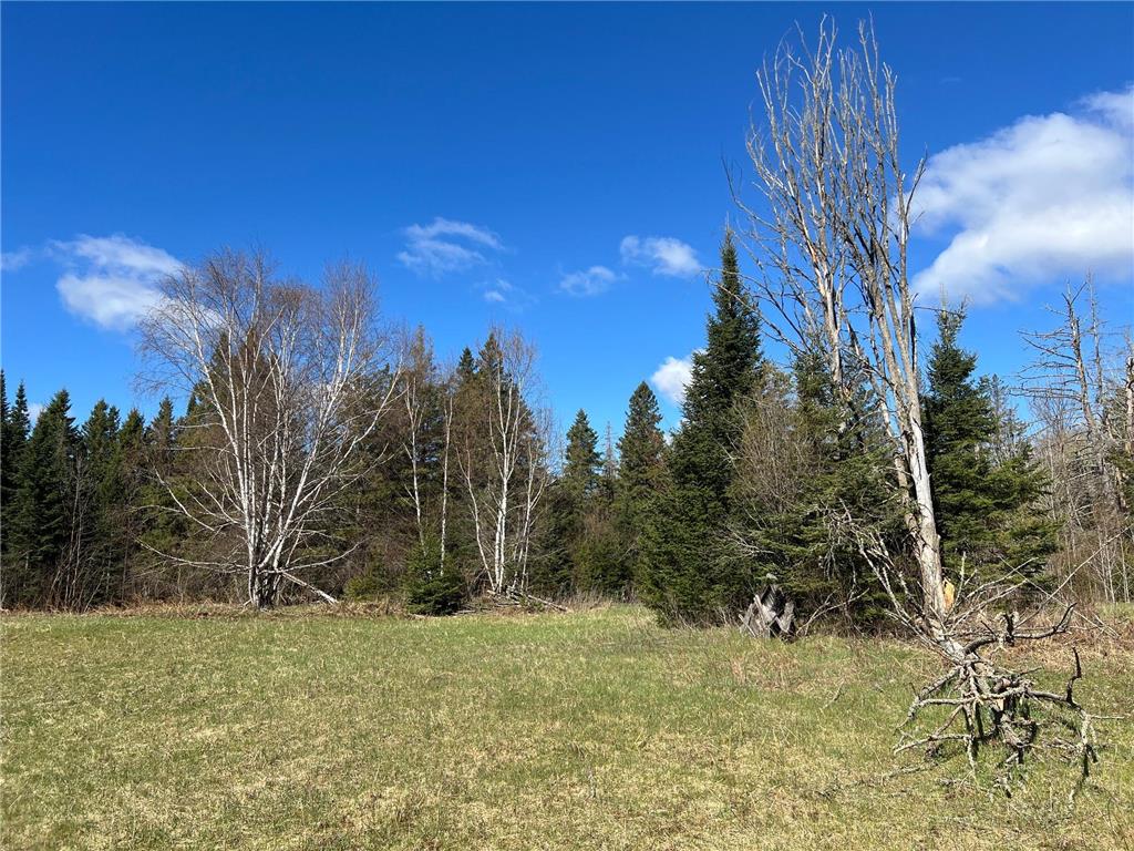 12905 Township Road D Wawina Twp MN 55736 7076686 image12