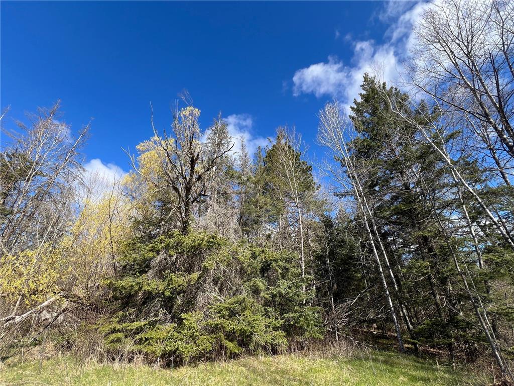 12905 Township Road D Wawina Twp MN 55736 7076686 image14