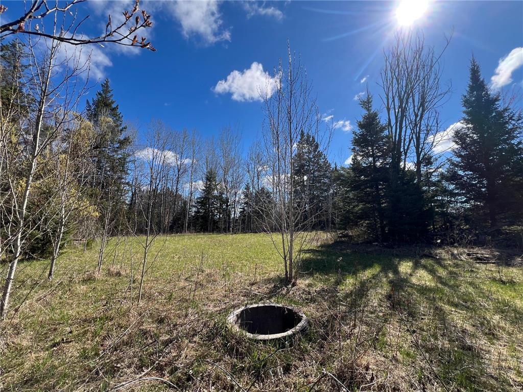 12905 Township Road D Wawina Twp MN 55736 7076686 image16