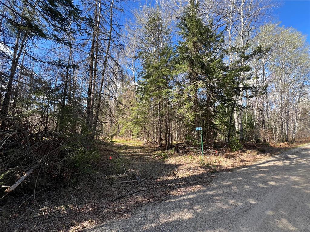 12905 Township Road D Wawina Twp MN 55736 7076686 image6