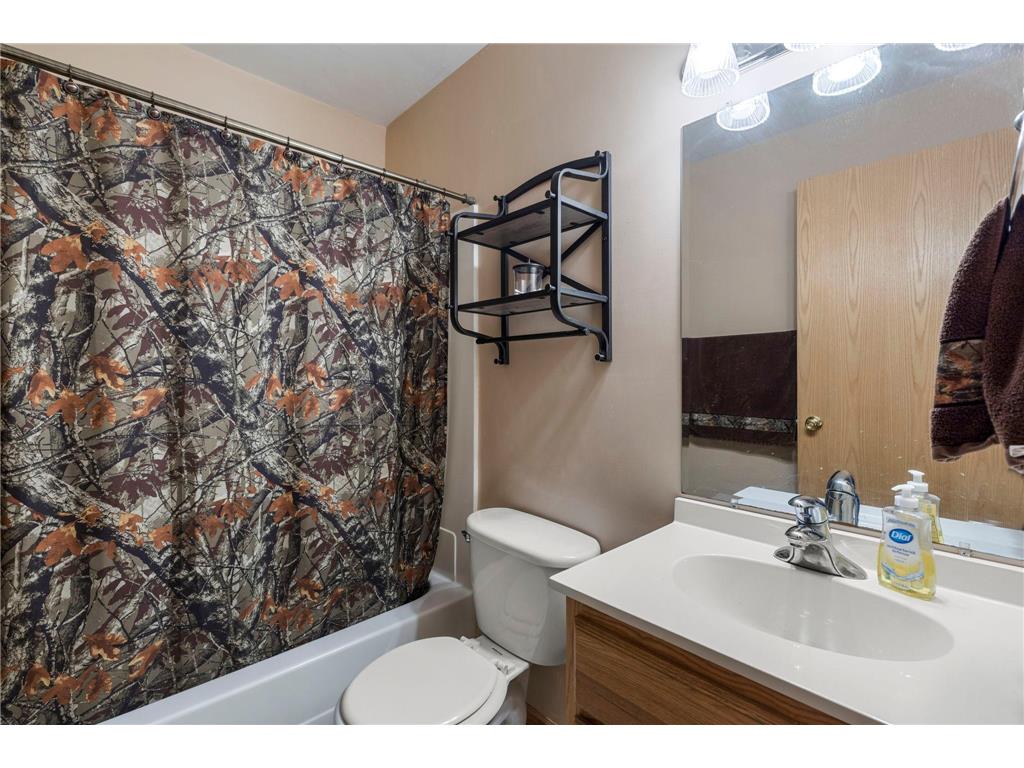1291 Bellflower Lane NE Owatonna MN 55060 7083454 image18