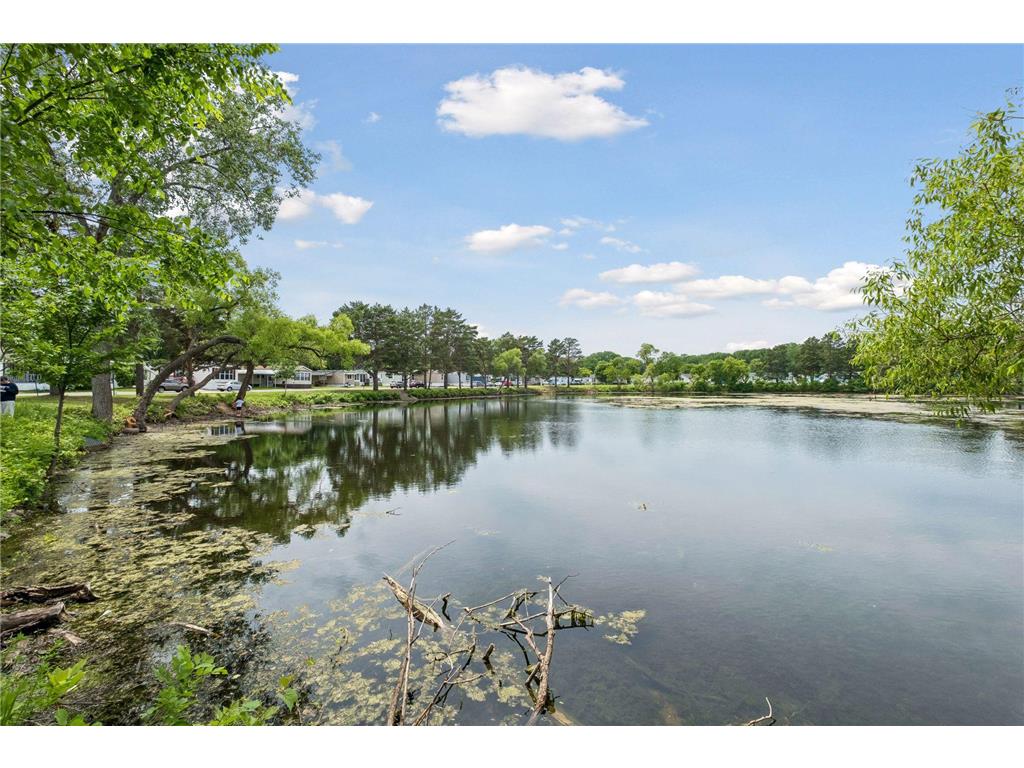 1291 Piper Drive W New Brighton MN 55112 - Poplar Lake 7087226 image21