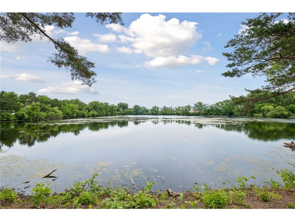 1291 Piper Drive W New Brighton MN 55112 - Poplar Lake 7087226 image23