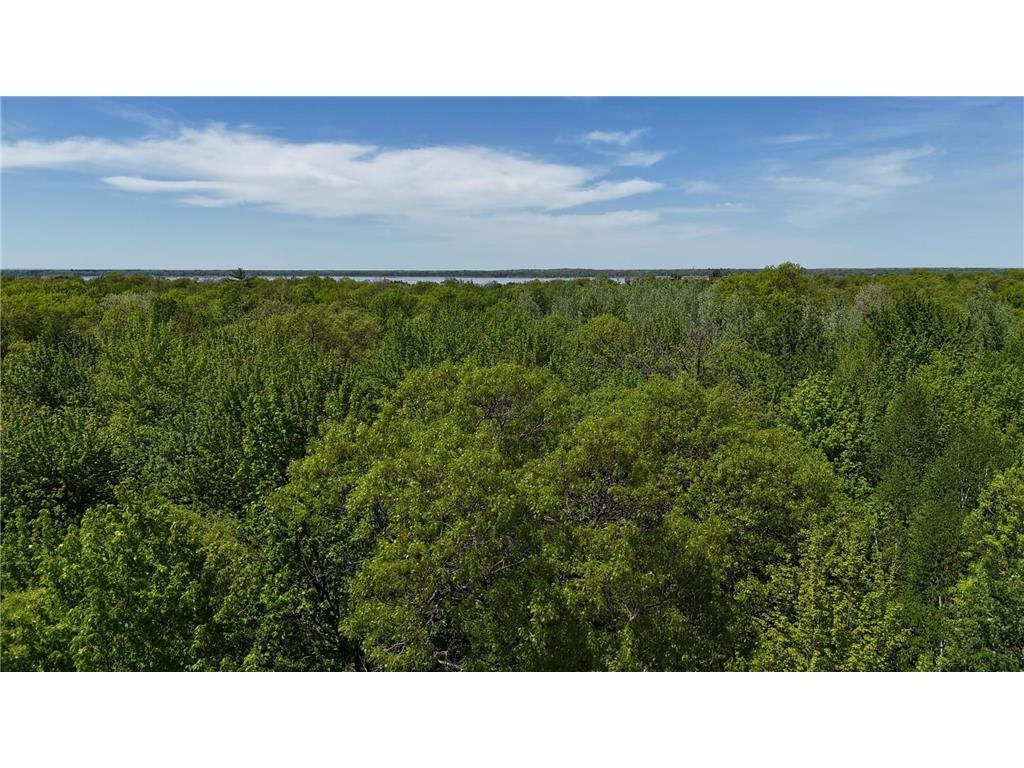 12913 Dobbins Road Center Twp MN 56465 - Silver 7078187 image62