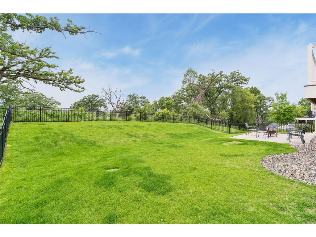 12919 Amiens Circle Rosemount MN 55068 7089713 image59