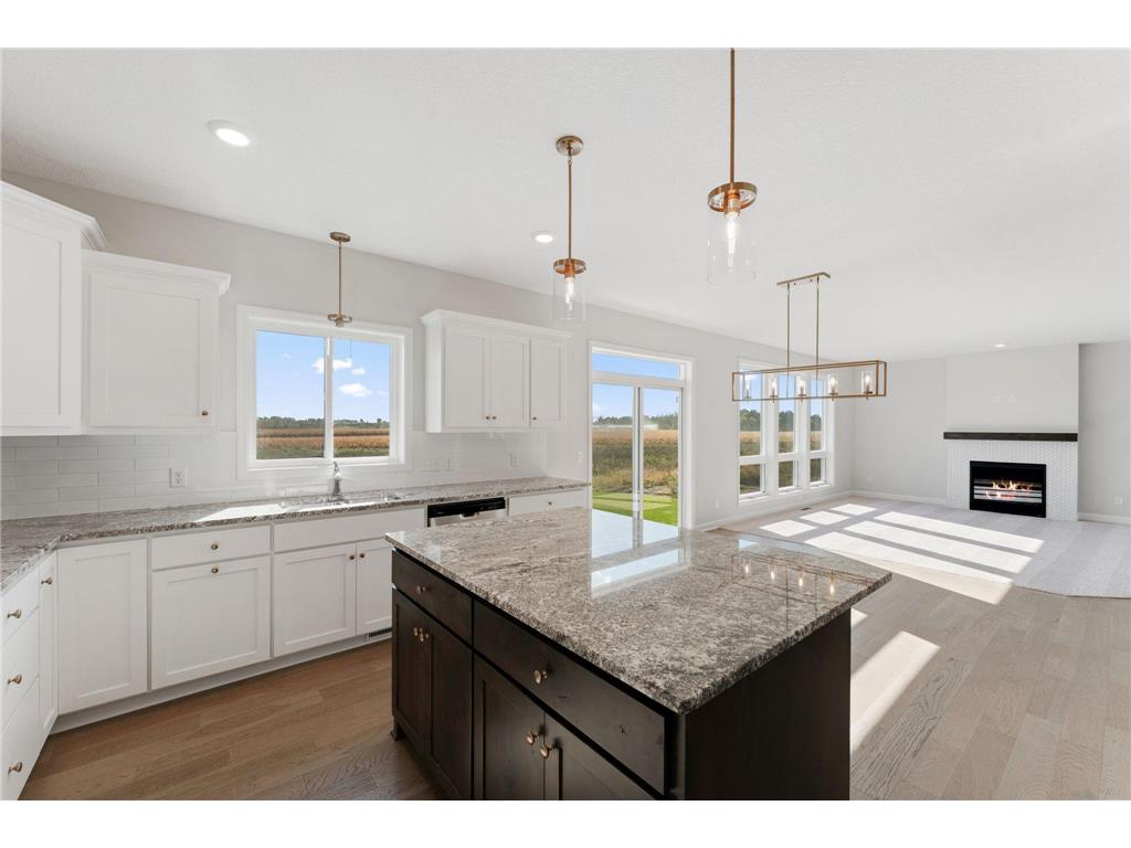 1292 Ardcurra Row Rosemount MN 55068 6793080 image4