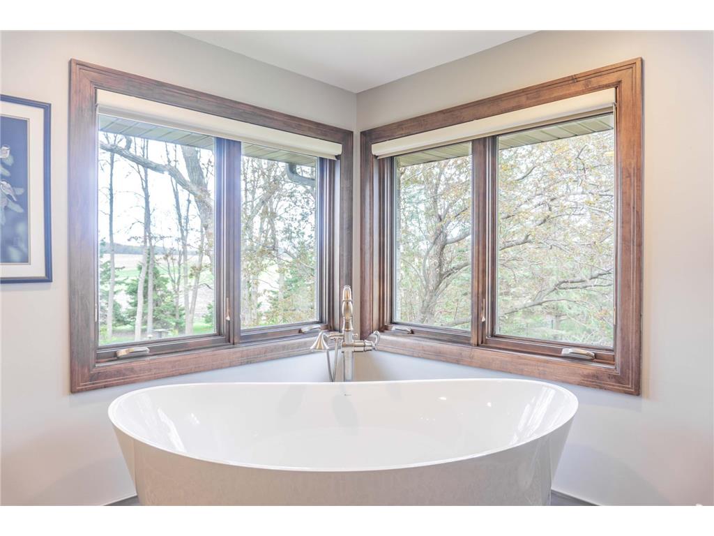 12920 142nd Street Norwood Young America MN 55368 7068162 image60