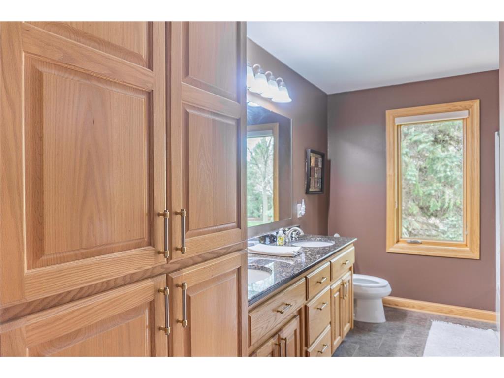 12920 142nd Street Norwood Young America MN 55368 7068162 image66