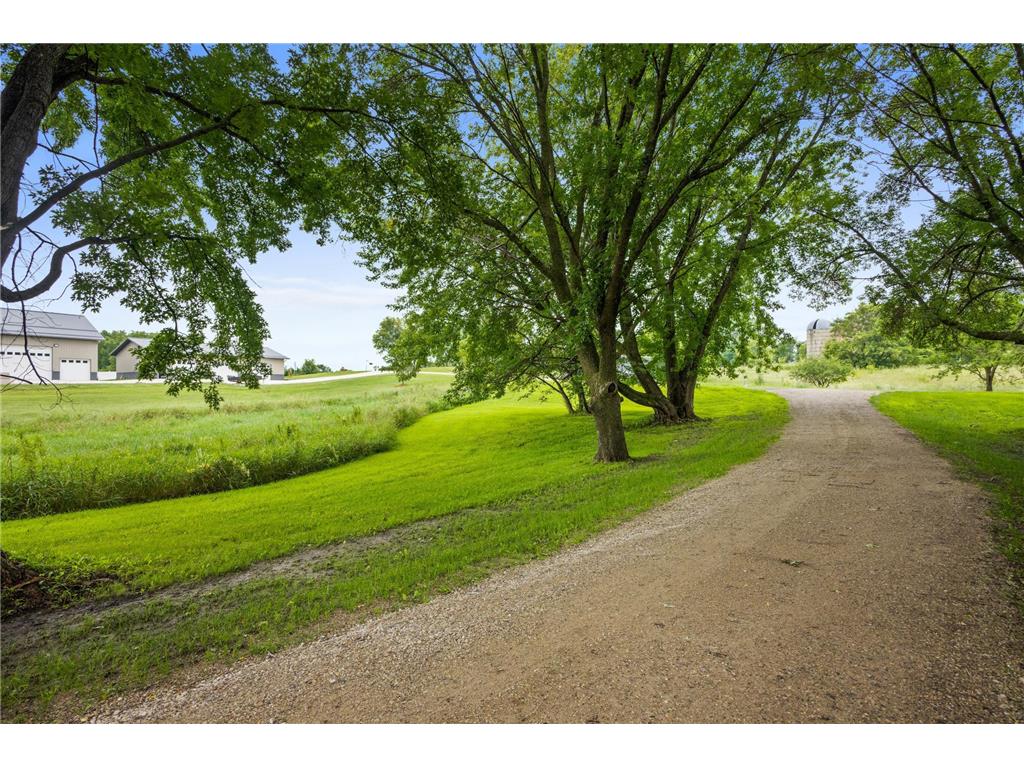 12923 Tanglewood Road NW Brandon Twp MN 56315 - Devils 6773872 image6