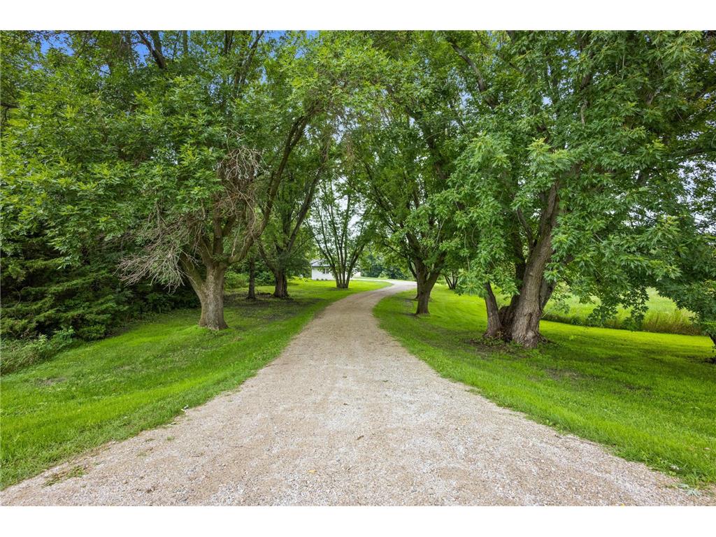 12923 Tanglewood Road NW Brandon Twp MN 56315 - Devils 6773872 image7