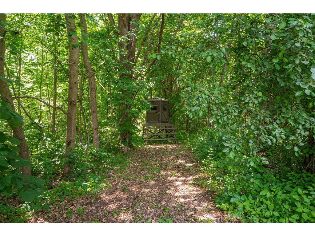 1294 County Road D Emerald WI 54013 7084804 image30