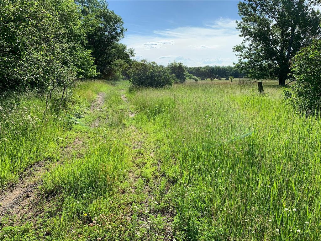 1294 Crow Drive SW Pillager MN 56473 6552009 image1