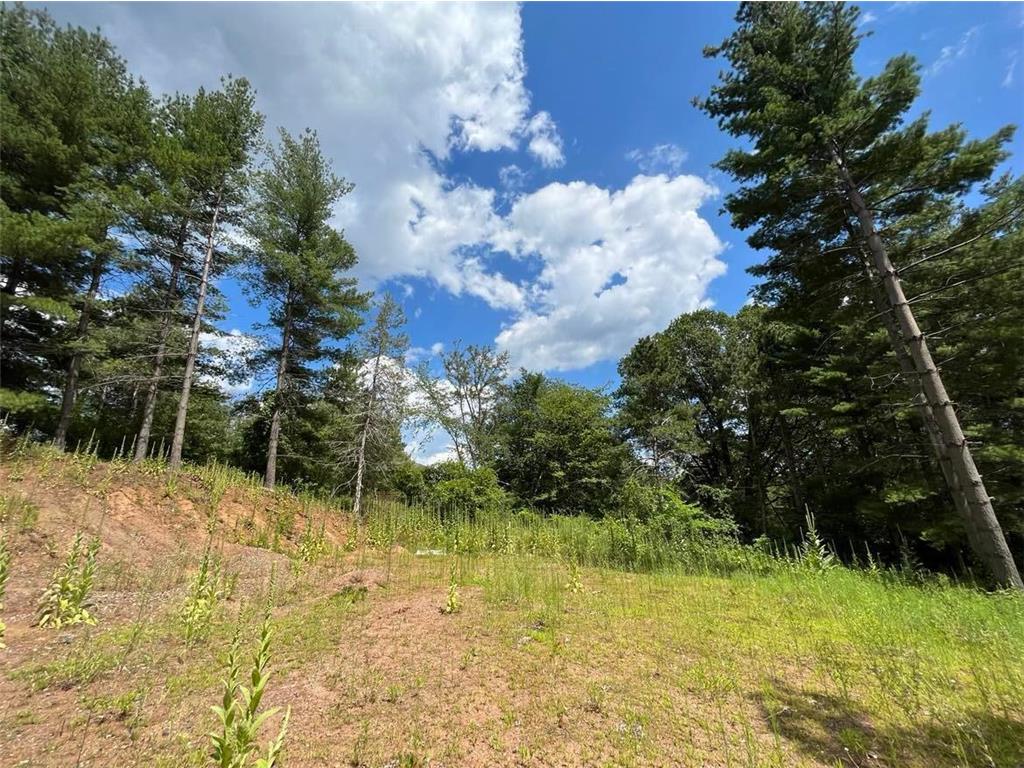 1294 Krattley Lane, North Hudson, WI, 54016 MLS 6349240 Edina Realty