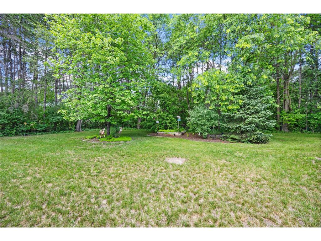 12949 Fremont Avenue Zimmerman MN 55398 7098684 image37