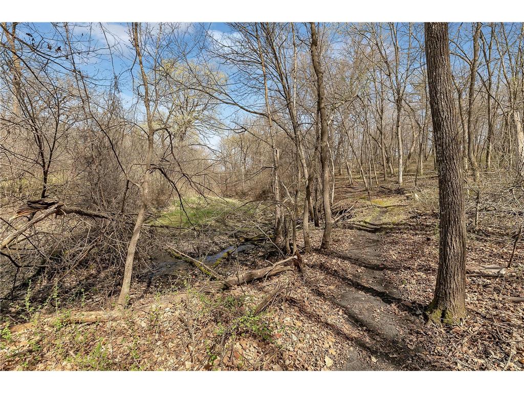 12951 Daisy Lane SW Farwell MN 56327 - Rachel 7095240 image52