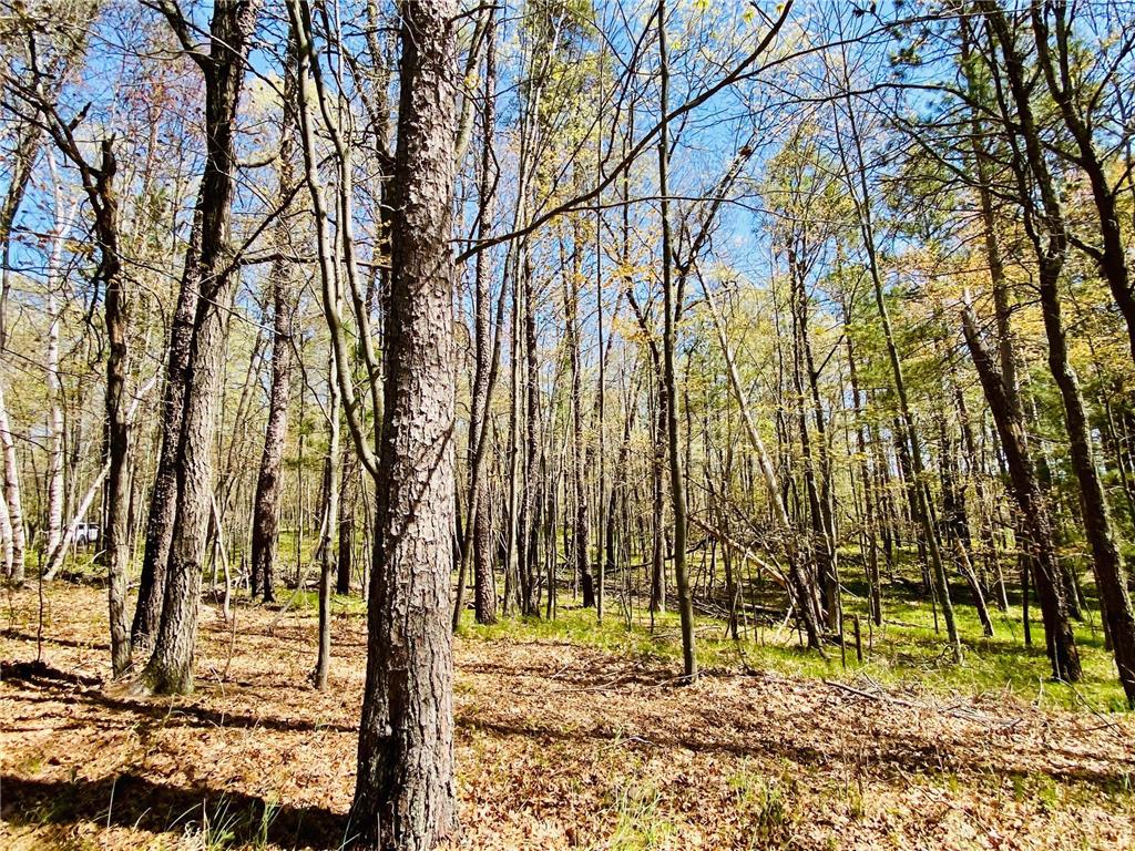 1297 Dock Lake Road Rusk Twp WI 54801 - Bass Lake 7075409 image24