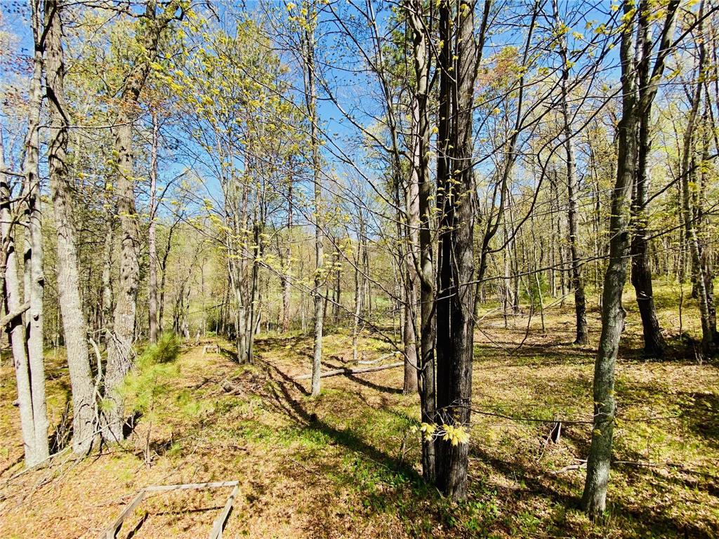 1297 Dock Lake Road Rusk Twp WI 54801 - Bass Lake 7075409 image34