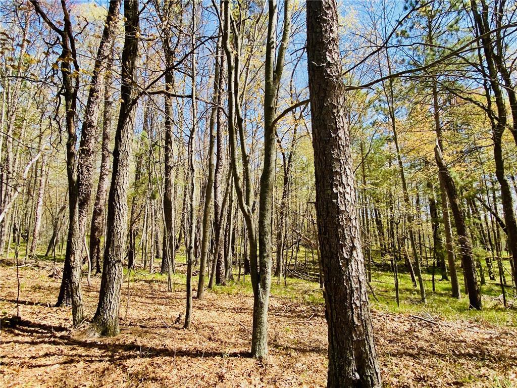 1297 Dock Lake Road Rusk Twp WI 54801 - Bass Lake 7075409 image35