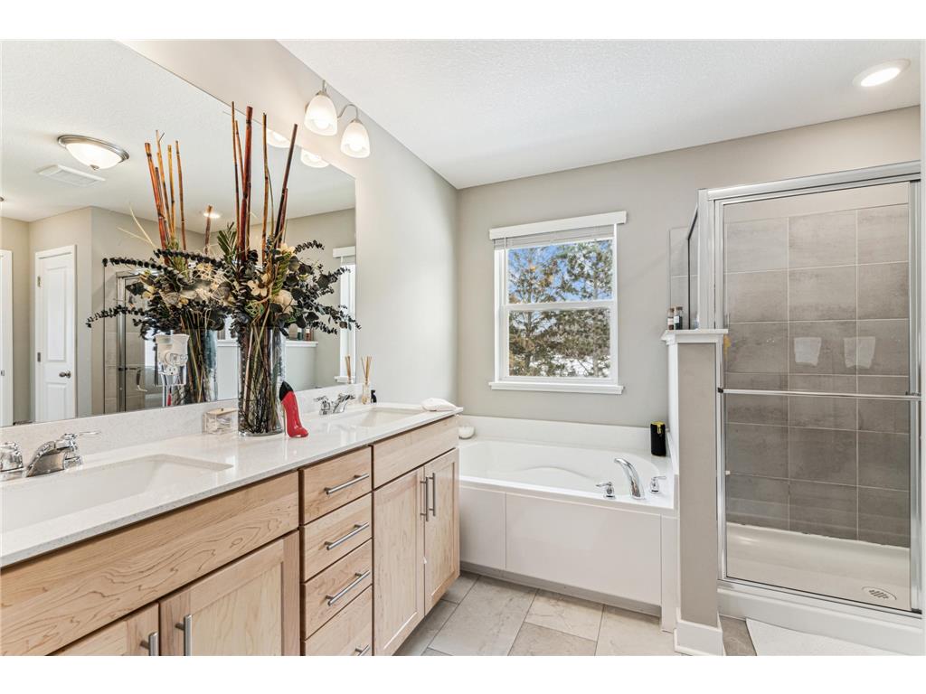 12972 Bauer Drive N Champlin MN 55316 6814645 image20