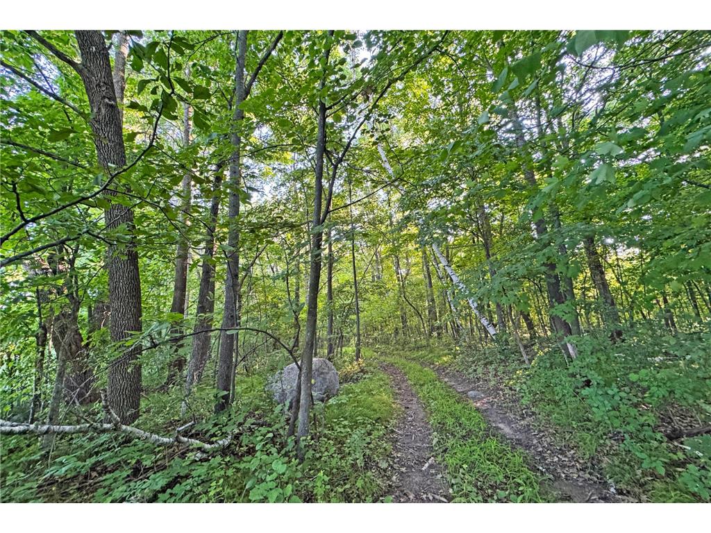 1298 210th Avenue Kanabec Twp MN 56358 7110046 image23