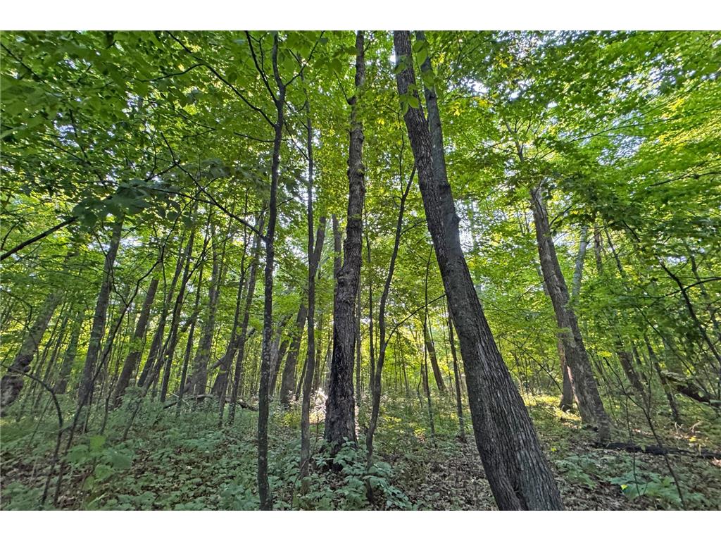 1298 210th Avenue Kanabec Twp MN 56358 7110046 image24