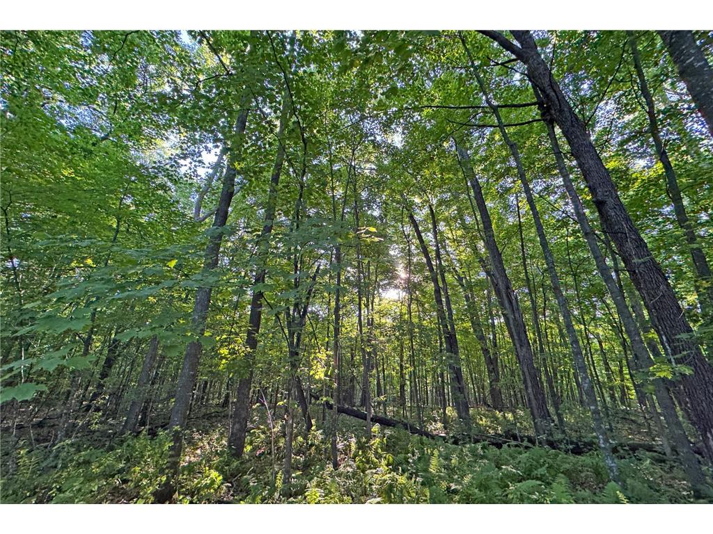 1298 210th Avenue Kanabec Twp MN 56358 7110046 image25