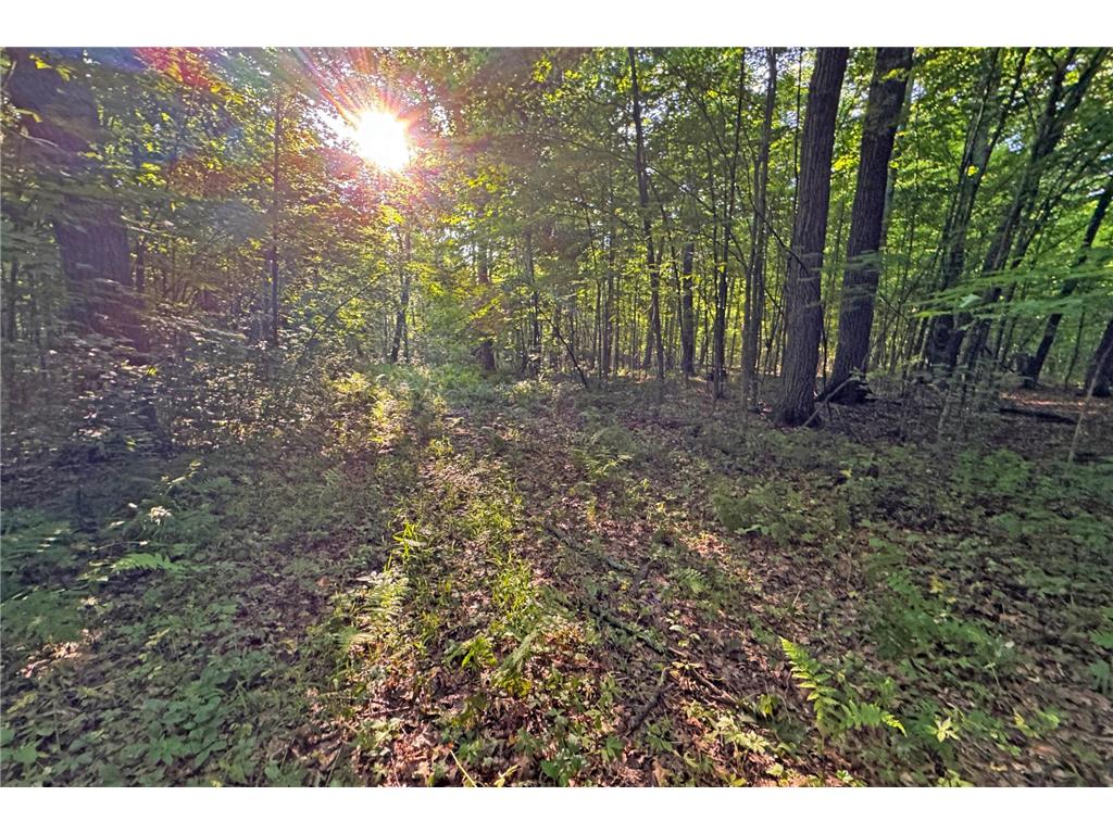 1298 210th Avenue Kanabec Twp MN 56358 7110046 image28