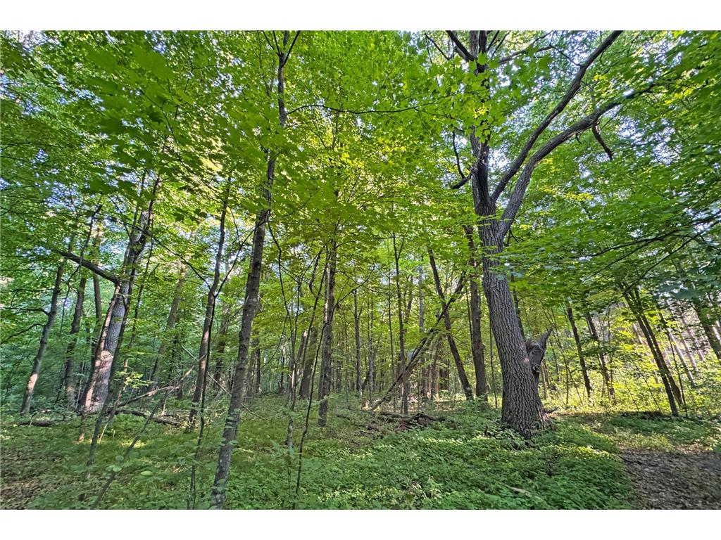1298 210th Avenue Kanabec Twp MN 56358 7110046 image30