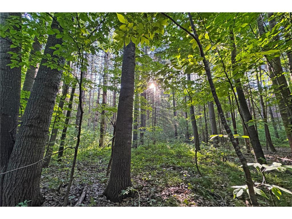 1298 210th Avenue Kanabec Twp MN 56358 7110046 image32