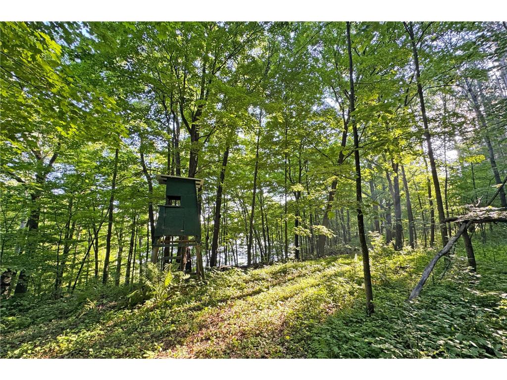 1298 210th Avenue Kanabec Twp MN 56358 7110046 image33
