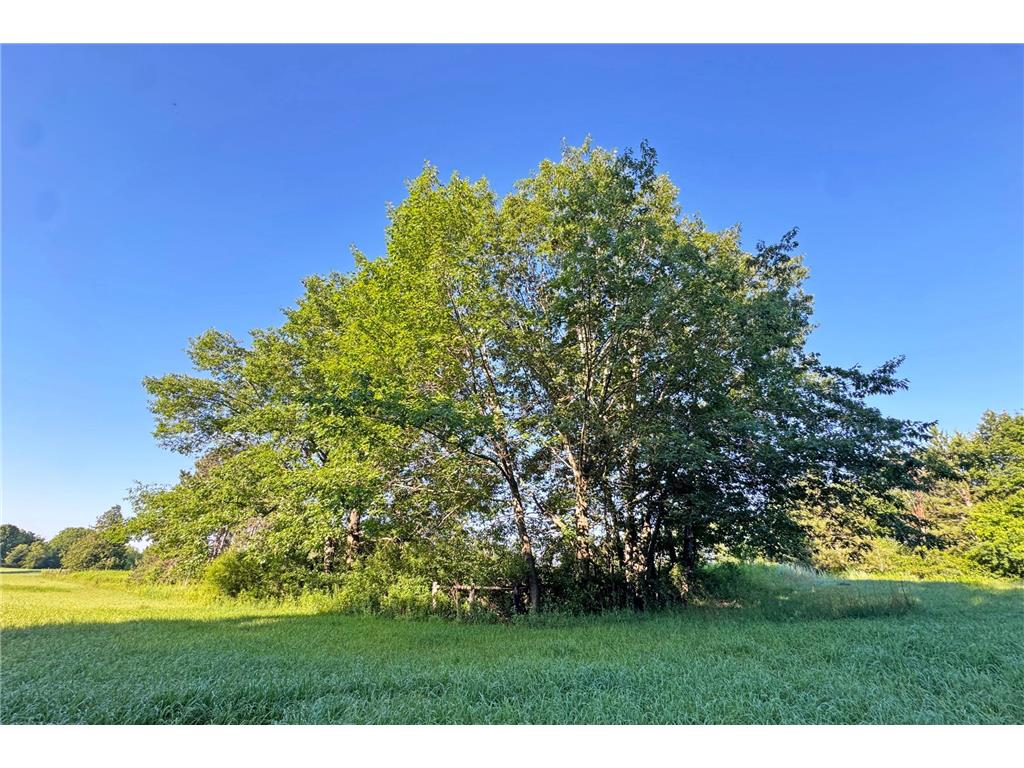 1298 210th Avenue Kanabec Twp MN 56358 7110046 image36