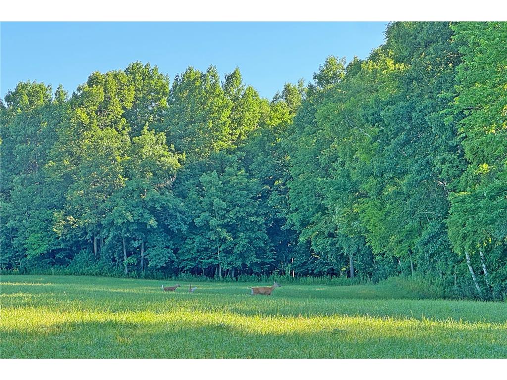 1298 210th Avenue Kanabec Twp MN 56358 7110046 image57