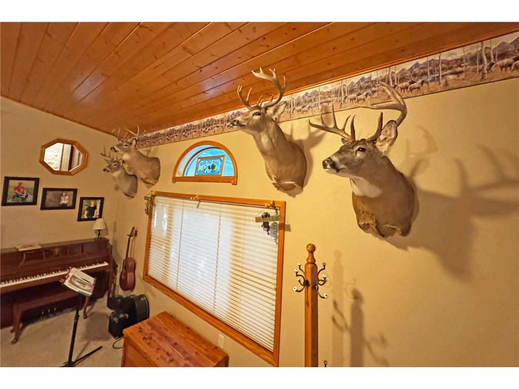 1298 210th Avenue Kanabec Twp MN 56358 7110046 image84