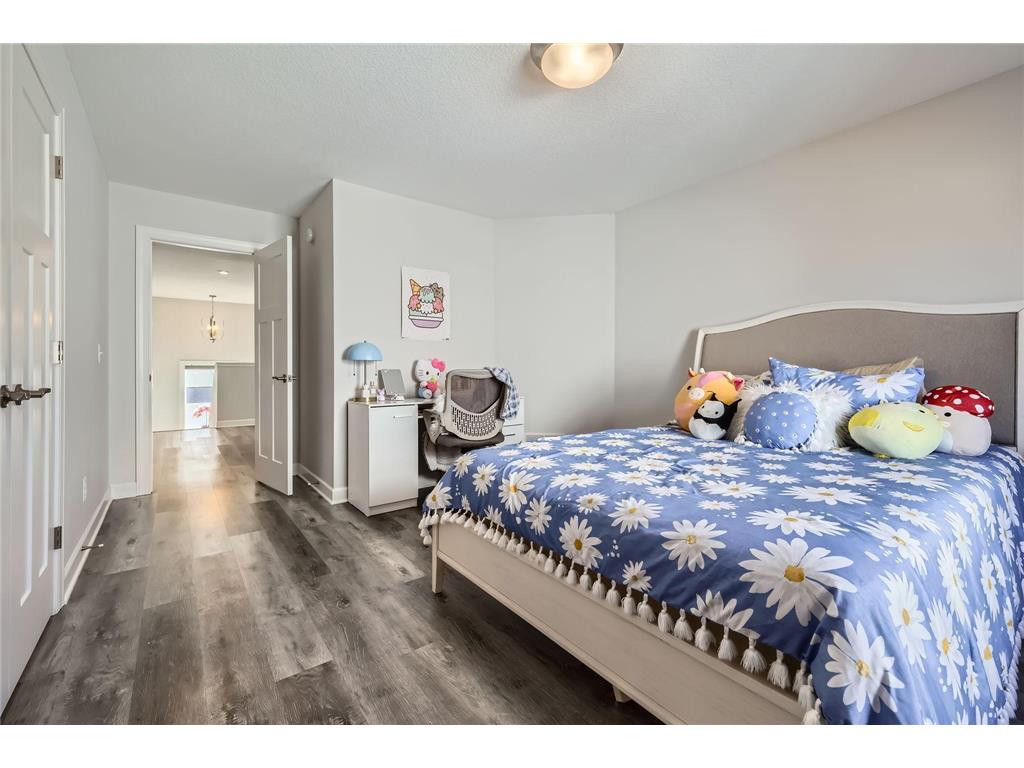12985 Bauer Drive N Champlin MN 55316 7061702 image25