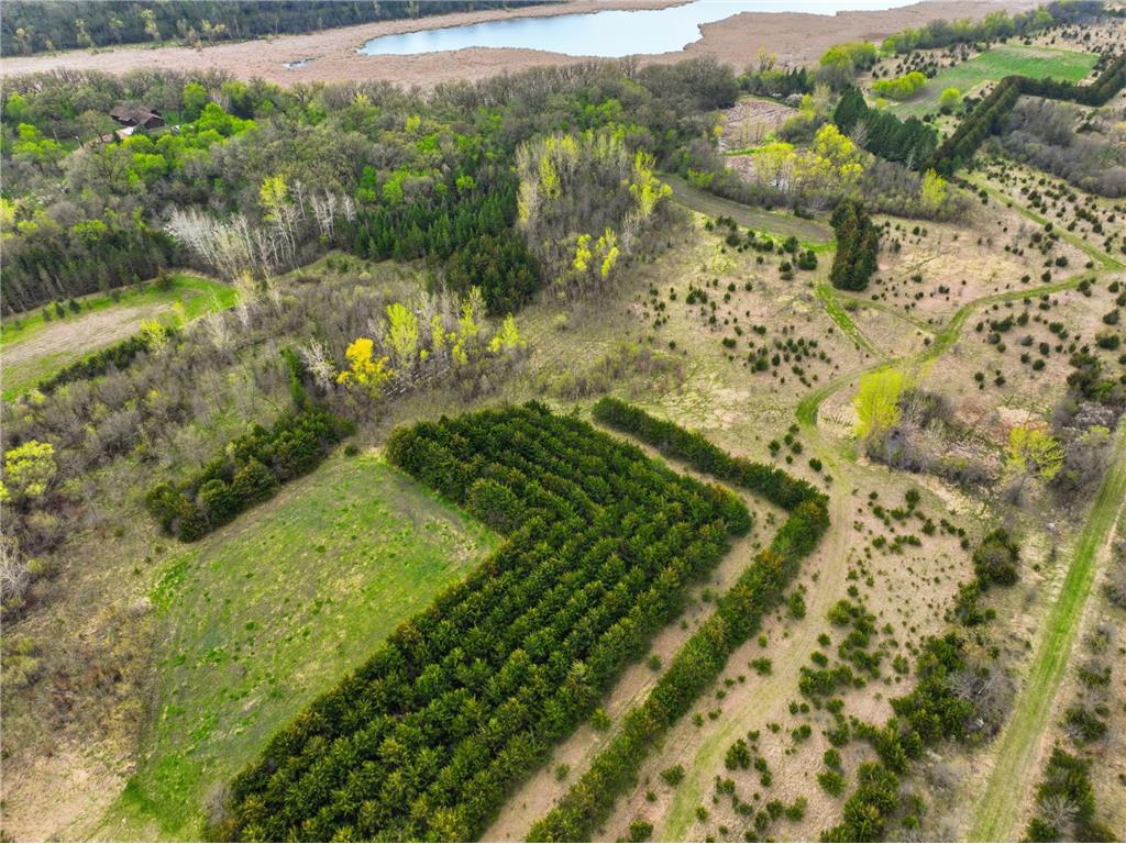 12987 590th Avenue Litchfield MN 55355 7036295 image20