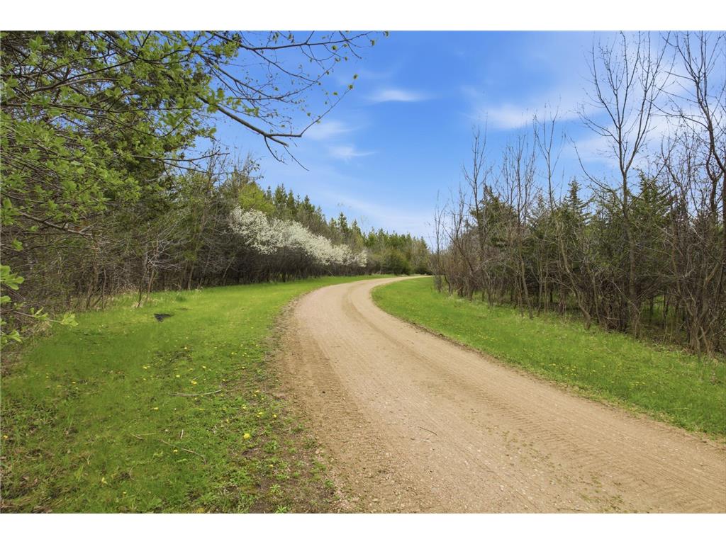 12987 590th Avenue Litchfield MN 55355 7036295 image24