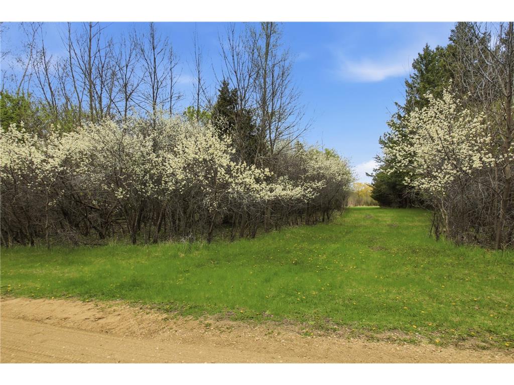 12987 590th Avenue Litchfield MN 55355 7036295 image25